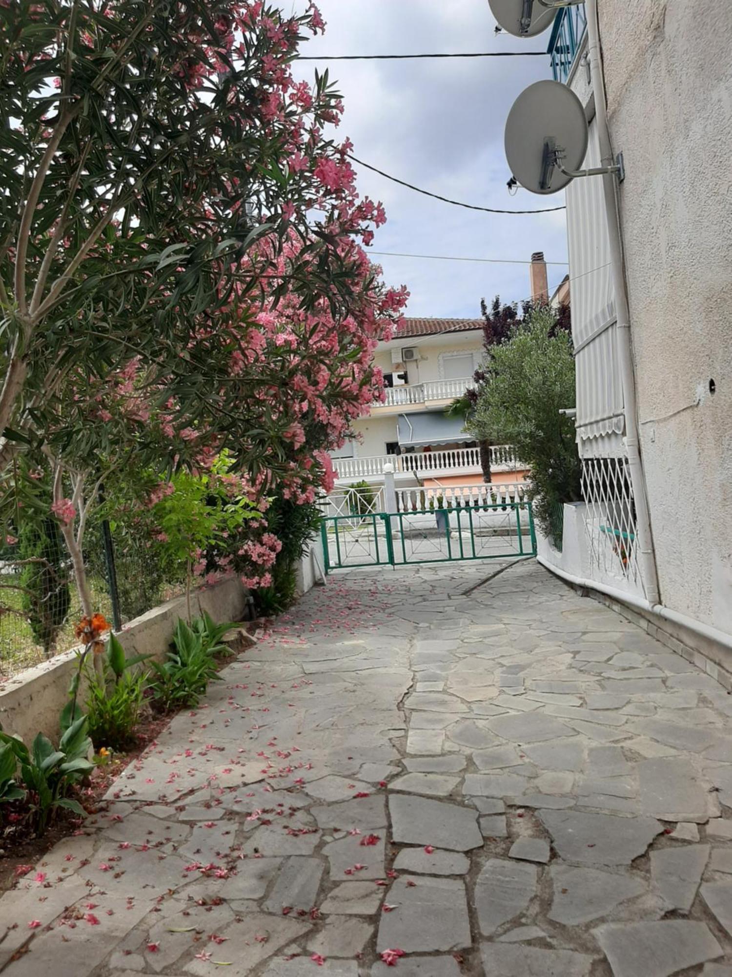 דירות Kallithea  Marely Cosy House מראה חיצוני תמונה